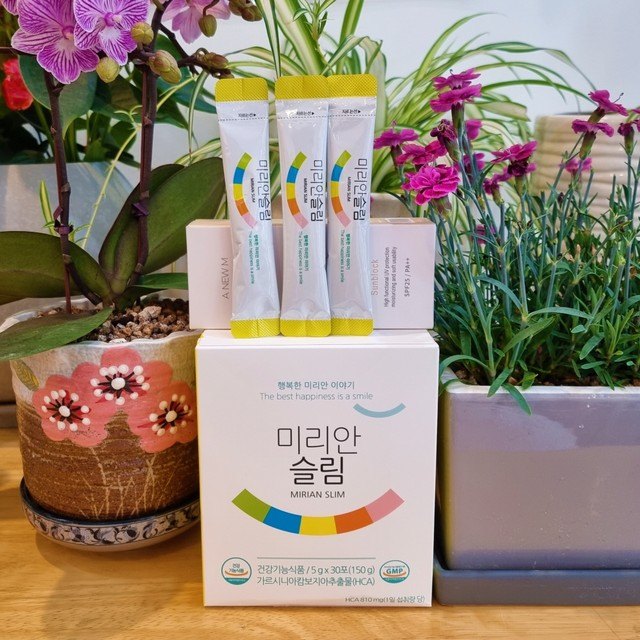 미리안 슬림 상자와 노란 스틱, 난초 옆